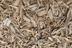 biomass boilers Leytonstone